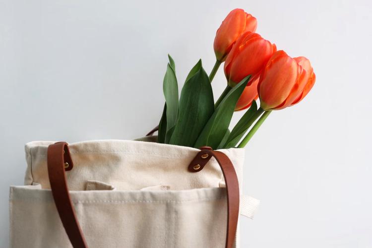 Top 6 Eco-Friendly Valentine's Day Gifts in India 