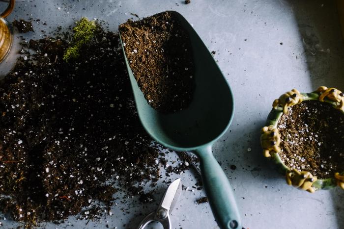 Send Valentine Gifts to Bangalore to Celebrate Long Distance Love