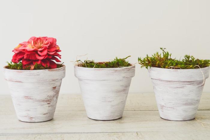 Send Valentine Gifts to Bangalore to Celebrate Long Distance Love