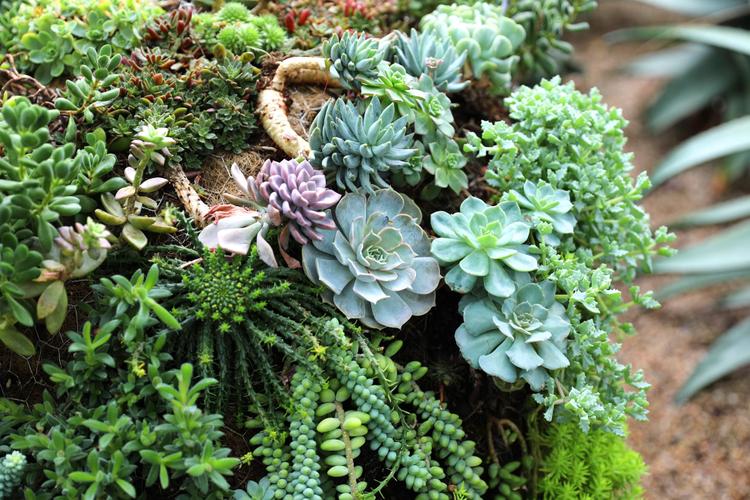 Top 9 Mother's Day Gifts to Send to Bangalore