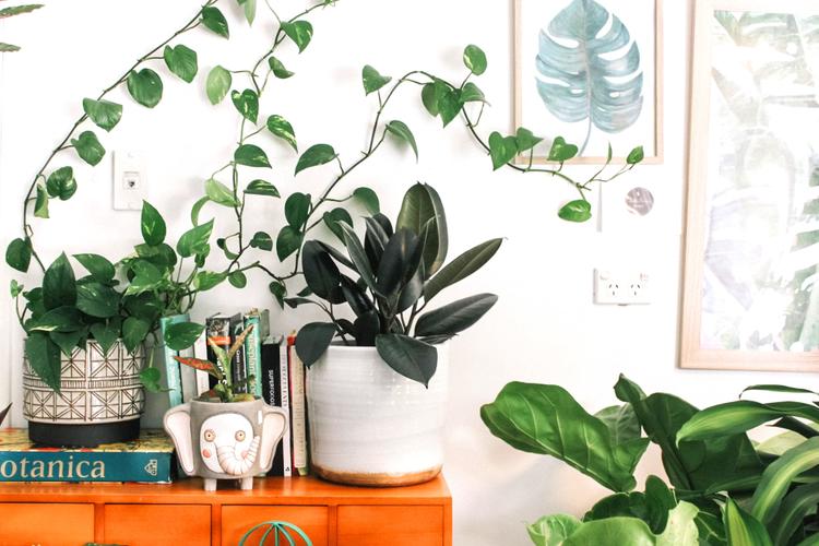 Top 9 Mother's Day Gifts to Send to Bangalore