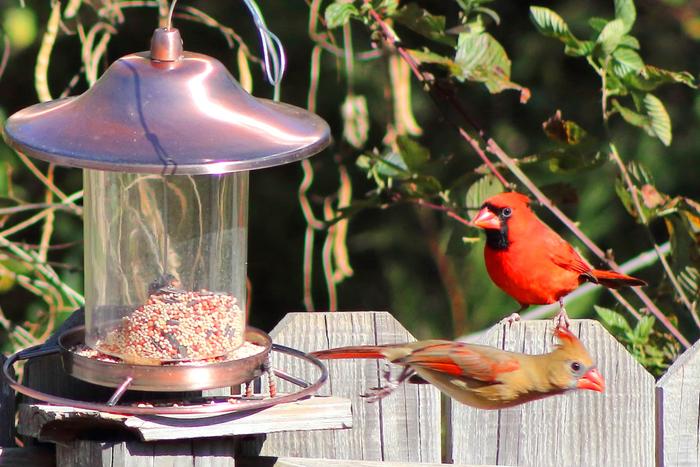 Top 7 Mother's Day Gifts to Send in Gurgaon