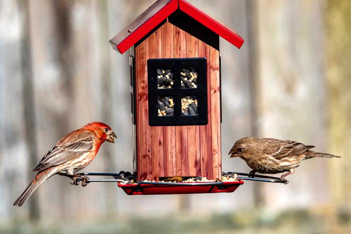 Top 7 Mother's Day Gifts to Send in Gurgaon