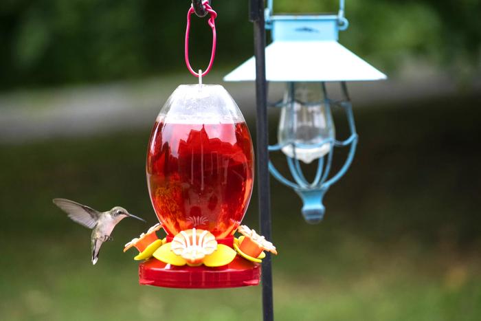 Top 7 Mother's Day Gifts to Send in Gurgaon