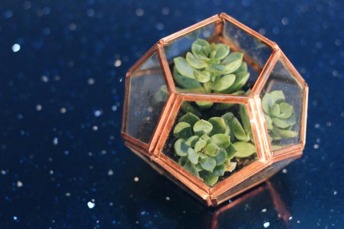 Top 6 Valentine's Day Gifts to Send in Ghaziabad