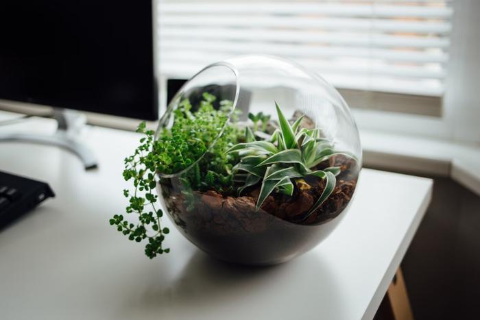 Top 6 Rakhi Gifts to Send to Amritsar