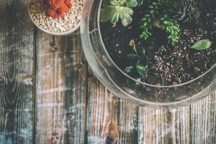 Top 6 Rakhi Gifts to Send to Amritsar