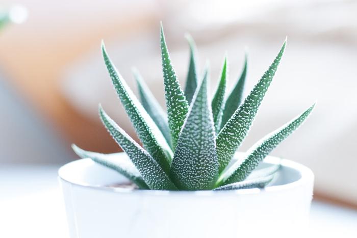 Send Best Birthday Gifts to Hyderabad