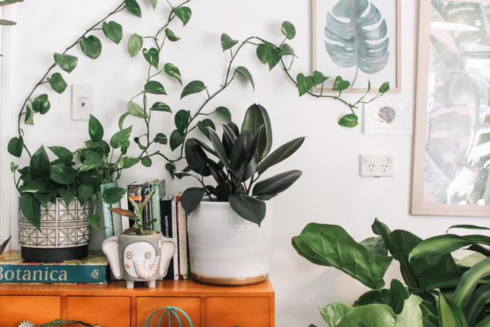 Send Best Birthday Gifts to Hyderabad