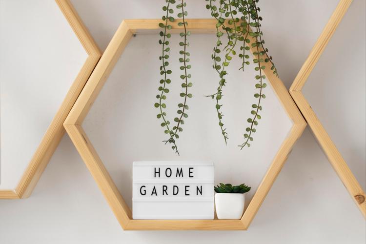 Top 8 Holi Gifts to Send to Chandigarh