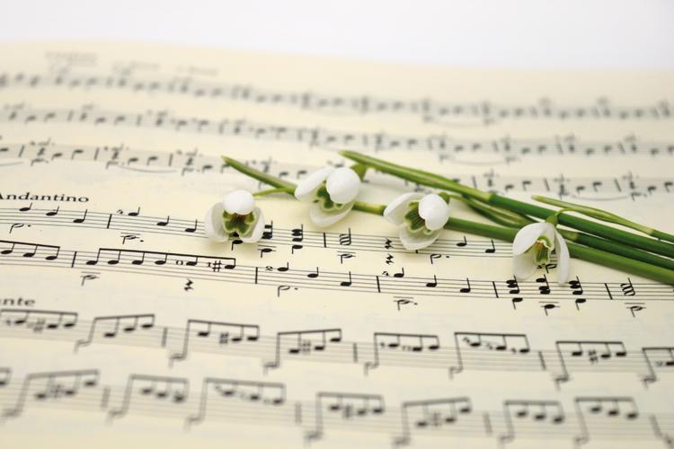 Influence of Bollywood on the Festival of Rakhi