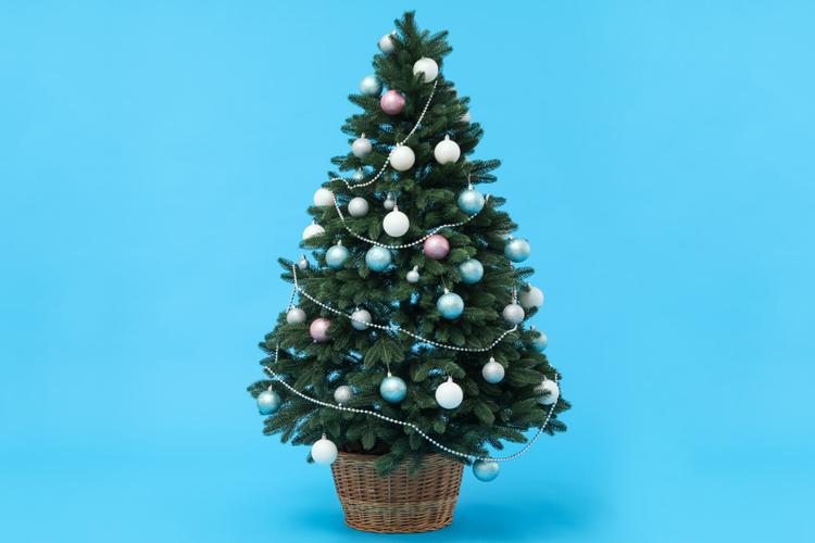 History and Significance of Christmas Trees
