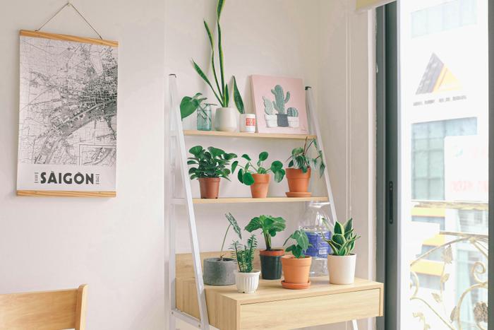 Top 7 Holi Gifts to Send to Jaipur