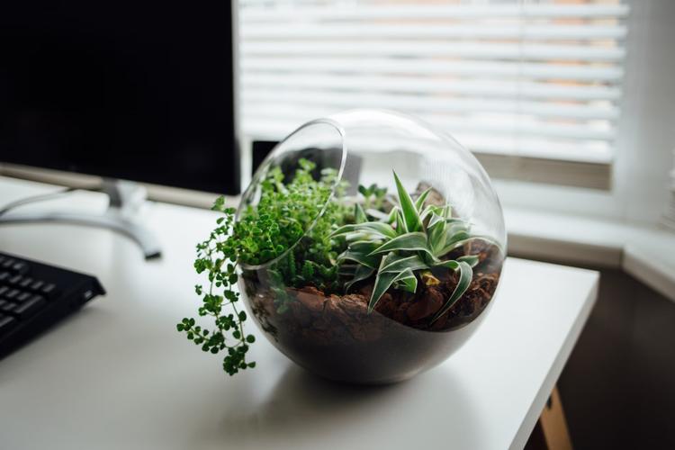 Top 10 Teacher's Day Gifts to Send to Hyderabad