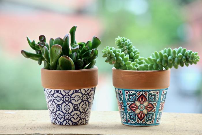 Top 9 Grandparents Day Gifts to Hyderabad