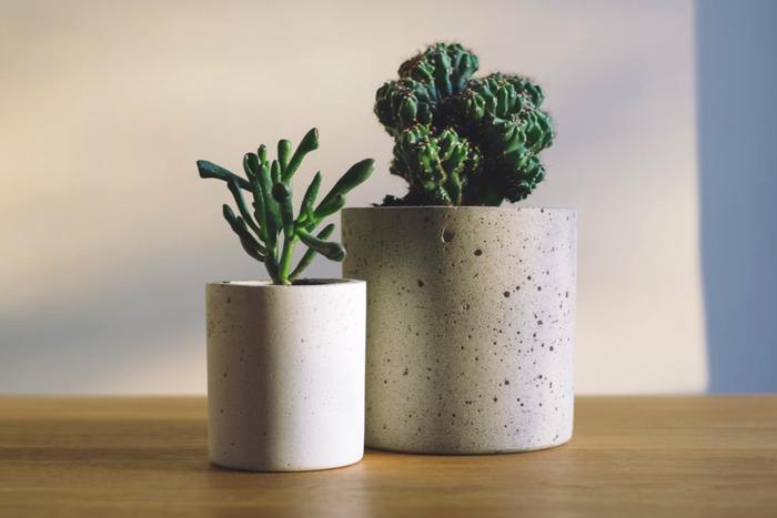 Top 7 Boss Day Gifts to Send to Hyderabad