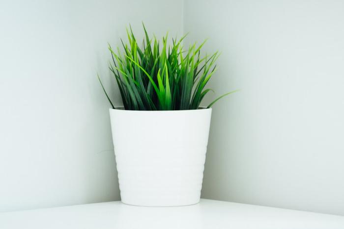 Top 7 Boss Day Gifts to Send to Hyderabad