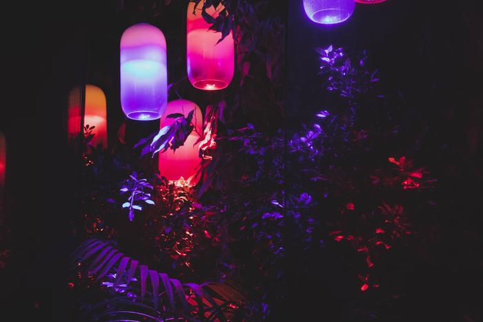 Top 7 Diwali Gifts to Send to Ahmedabad