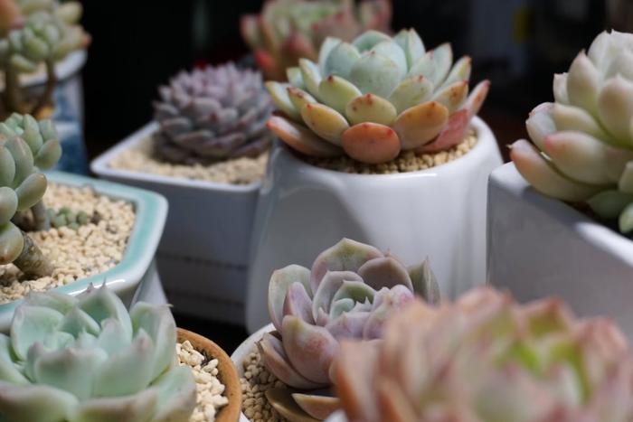 Top 7 Easter Gifts to Send to Hyderabad