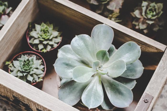 Top 8 Gudi Padwa Gifts to Send to Hyderabad