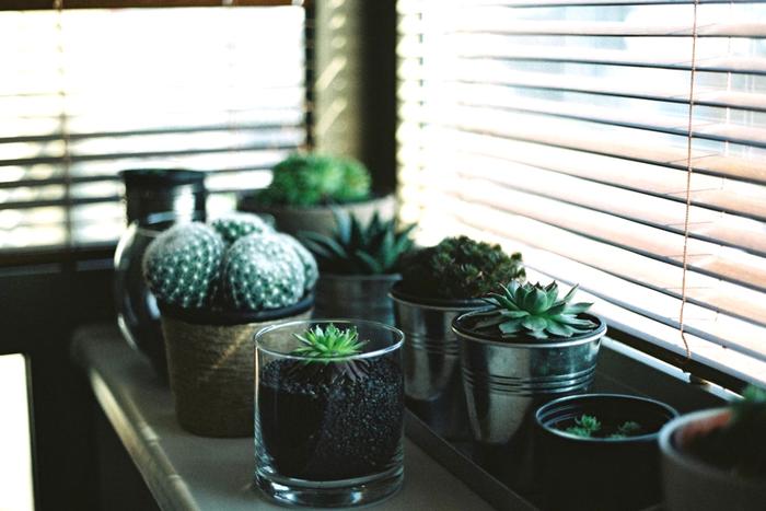 Top 8 Gudi Padwa Gifts to Send to Hyderabad