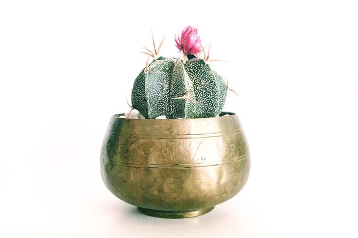 Send Heartwarming Lohri Gifts in Amritsar