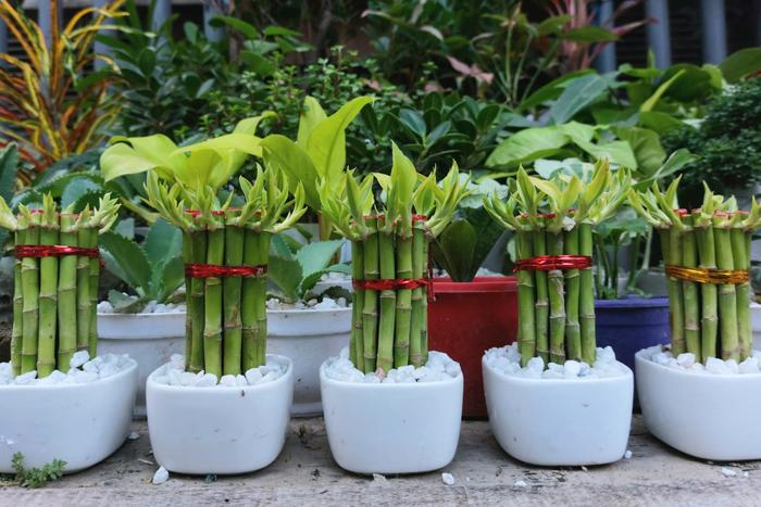 Top 8 Puthandu Gifts to Send in Chennai