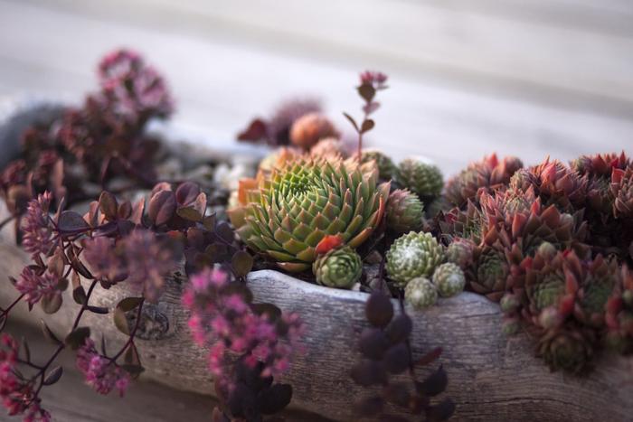 Top 8 Puthandu Gifts to Send in Chennai