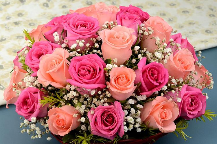 New Year Gifts for Family