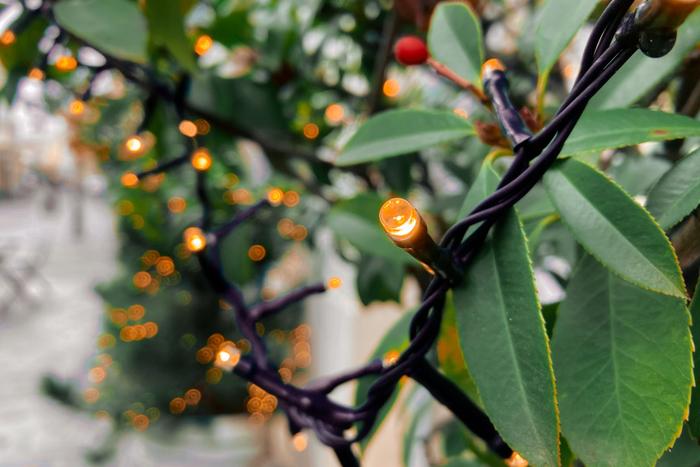 Affordable Diwali Gift Ideas