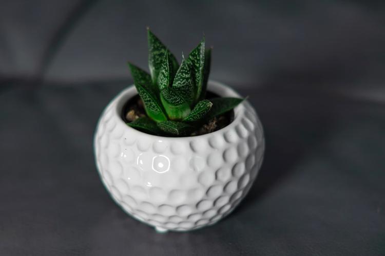 Trending Diwali Gifts for 2025