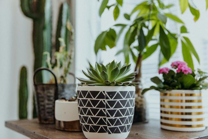 Gift Ideas to Make Mother’s Day Memorable