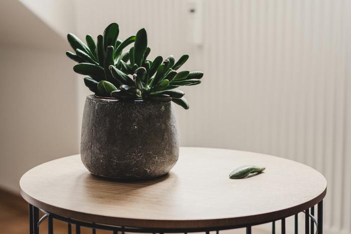 Gift Ideas to Make Mother’s Day Memorable