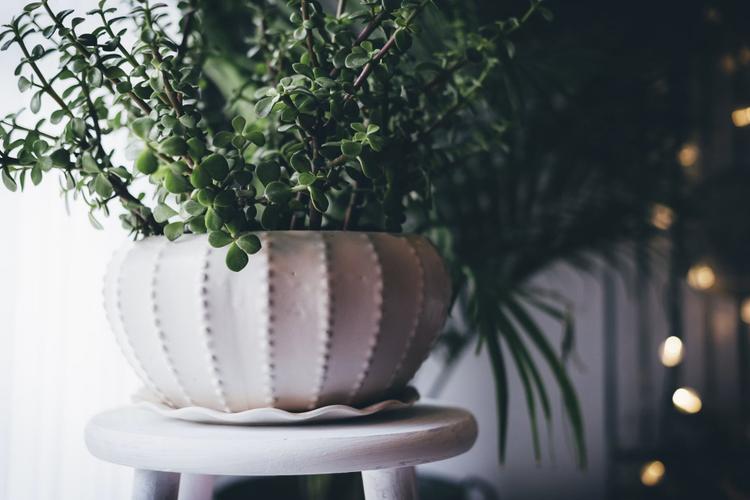 Top 5 Birthday Gifts for your Mother in India
