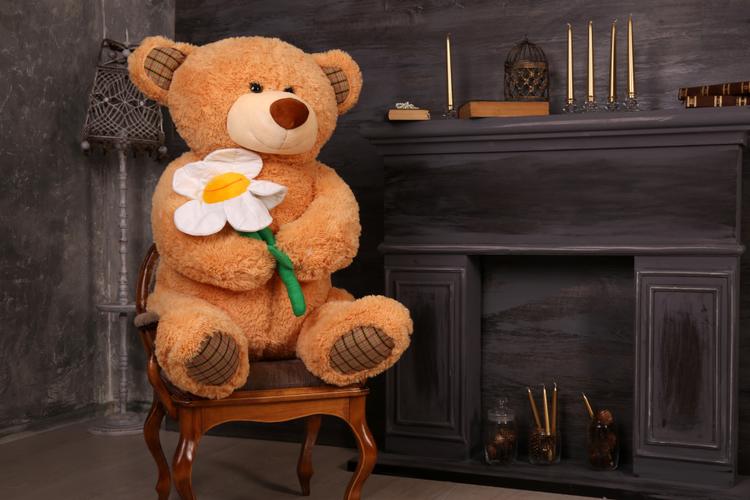 Top 10 Gifts for Nephew in India