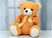 Same Day Delivery of Soft Toys