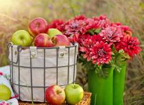 Mother's Day Flower & Fruits