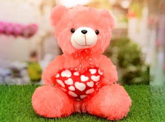 Valentine's Day Gifts to Ludhiana